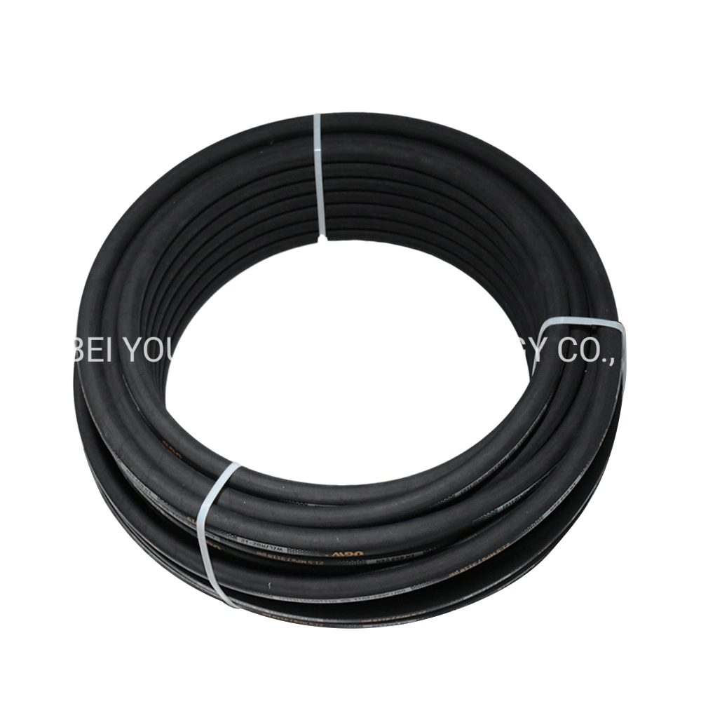 Ugw Hose Hydraulic Fast Delivery China Construction Machinery Hose 1sn/R1 Fluid Hydraulic Hose