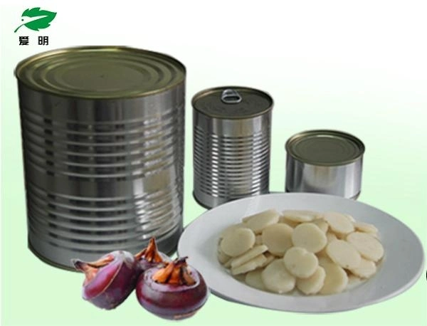 Good Quality Canned Water Chestnut White Fresh Water Chestnut for Sale