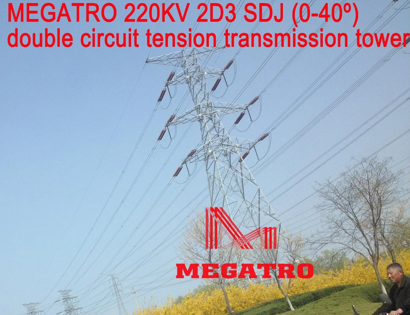 Megatro 220kv 2D3 Sdj Double Circuit Tension Transmission Tower