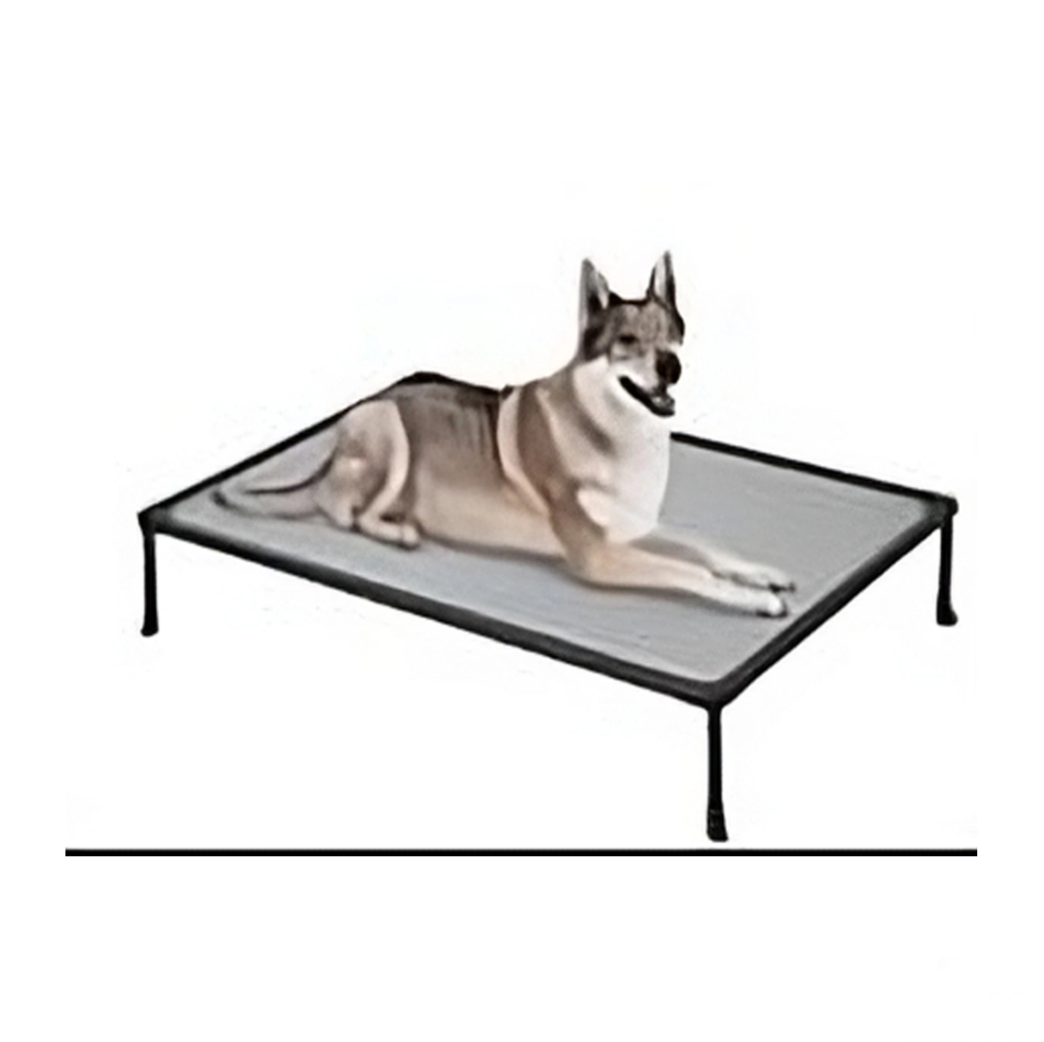 Venta caliente Hierro de lujo al aire libre estructura metálica elevada cama de perro