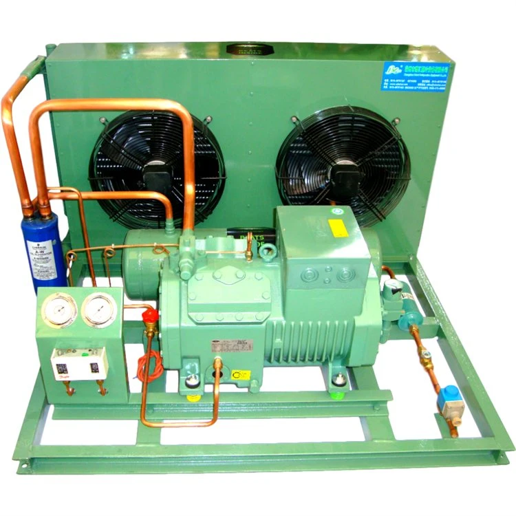 Compresor de unidad de condensación para sala de frío