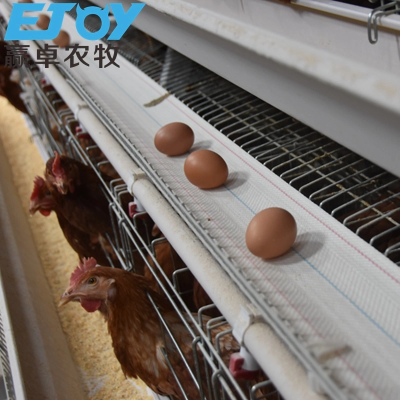 Farm Poultry Equipment Hot DIP Galvanized Chicken Coop Layer Cage