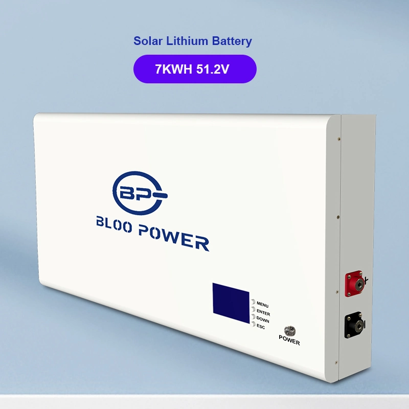 Bloopower 5kwh Ion Home Use Pack 10 Kw Kwh Source Backup 5.12kwh Electric BMS Chargers House Supply at Home on Grid Storage Battery