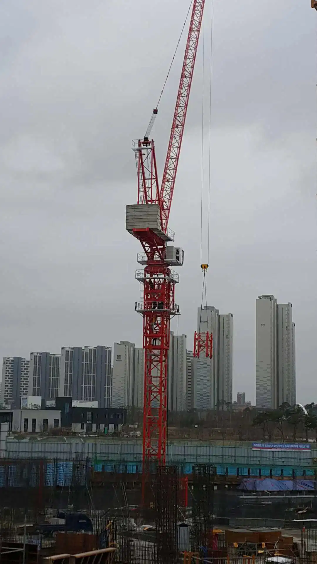 Sun Professional Manufacturer Qtd6048 Ton High-Luffing Tower Crane Building Equipment Length 60 Meters Max Load 25t