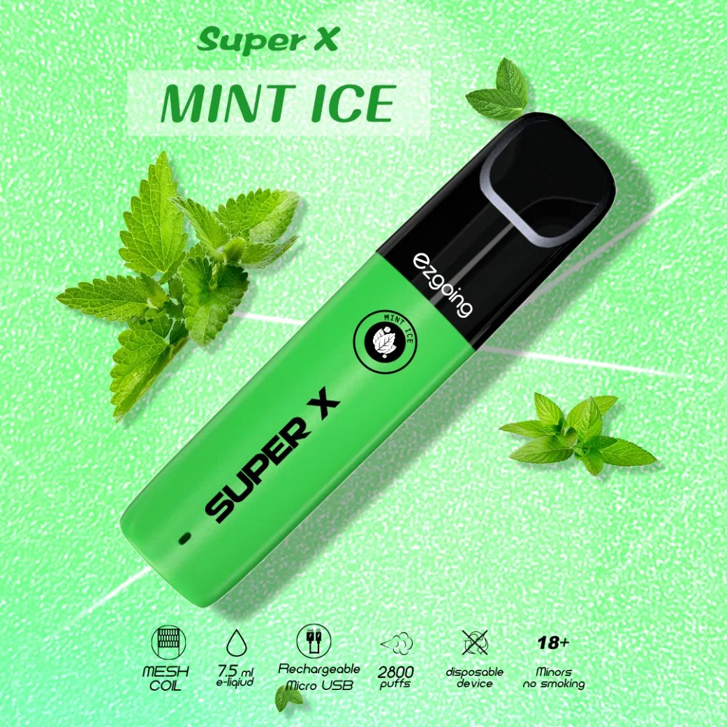 Hottest Ezgoing 2800 Puffs Wholesale/Supplier 5% E Cigarette Mini Disposable/Chargeable Vape Pod