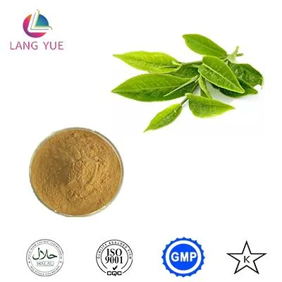 Lower Price Organic Green Tea Extract 98% Tea Polyphenols