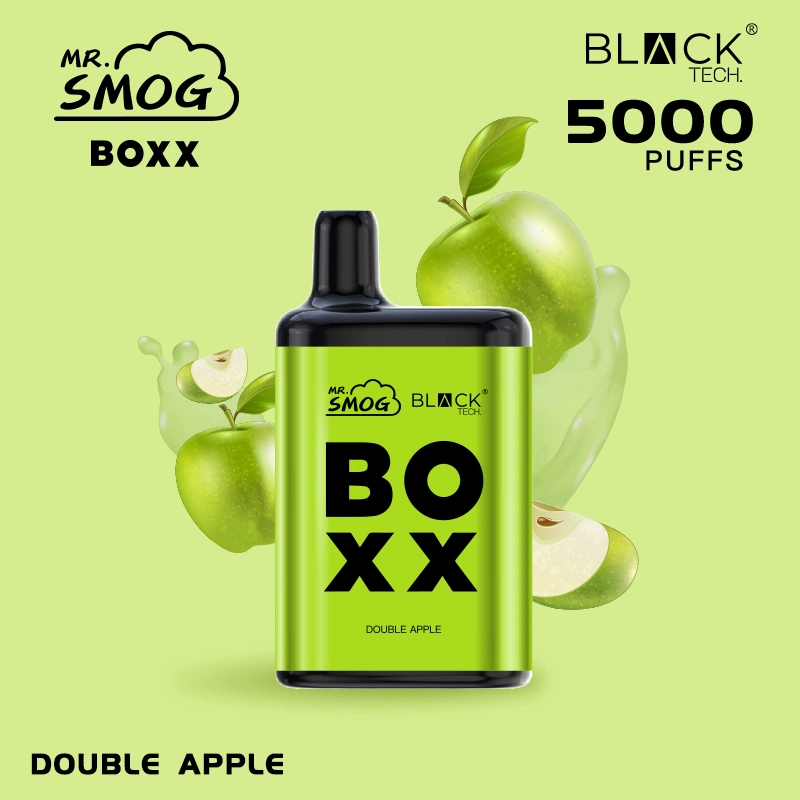 Support OEM/ODM E-Cigarette Manufacturer Wholesale Price New Arrival Boxx 5000 Puffs Mesh Coil Disposable Vape Atomizer for Health