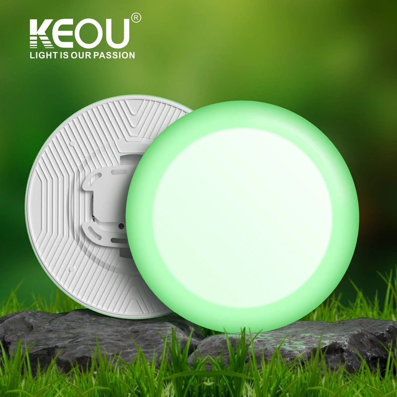 Keou Modern 36W bicolore rond blanc RVB Dual Color Clean Éclairage de la salle LED pour salle blanche