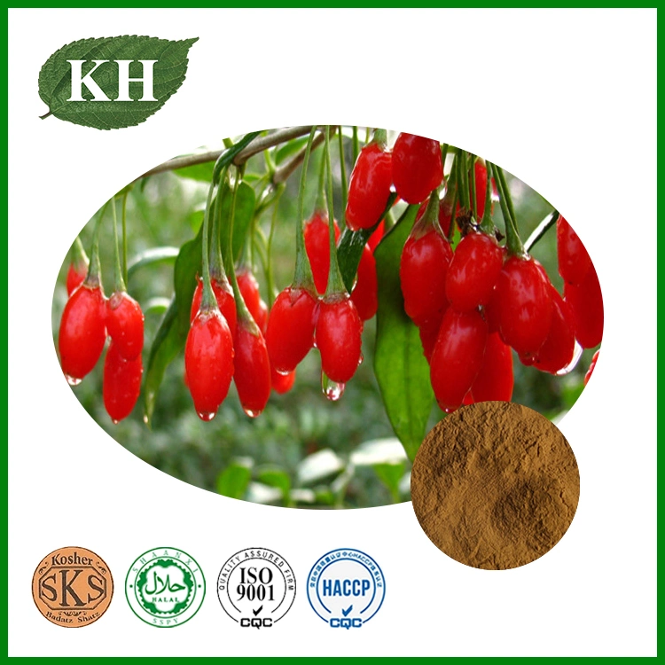 Pure Natural Wolfberry Extract Polysaccharides 50%; Goji Powder