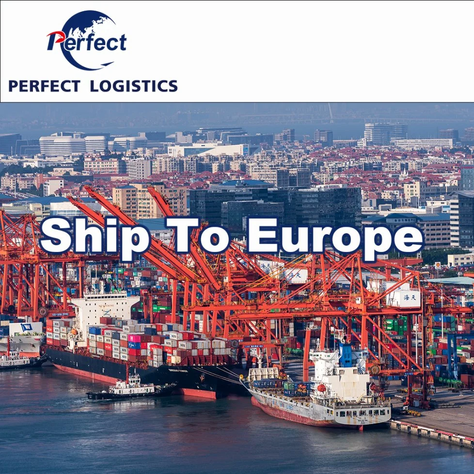 1688 Professional Shipping Company Air/Sea Freight Forwarder Cargo Ship Price to Europe