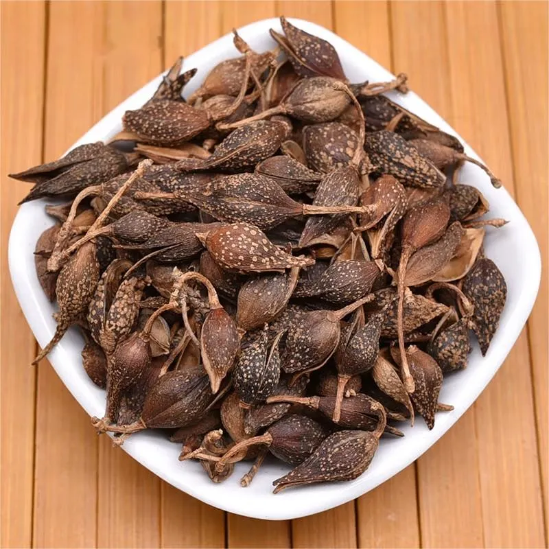 Huang Lian Fructus Forsythiae Traditionelle Chinesische Medizin Getrocknete Kräuterfruktus Lian Qiao