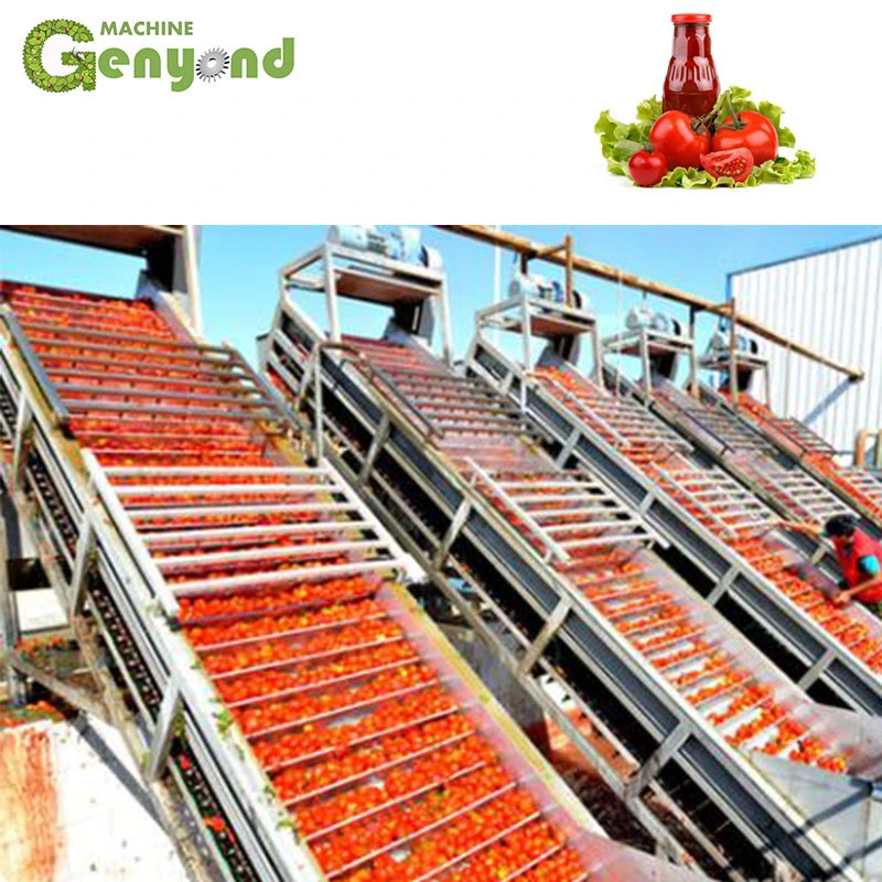 Tomato Washing and Cleaning Machine for Tomato Paste Making