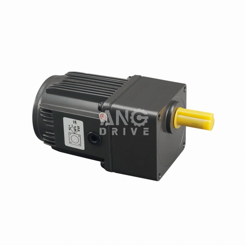 6W de alta calidad 10W 15W 25W 30W 40W 60W 90W 120W 250W 370W CA Control de velocidad de inducción eléctrica motorreductor