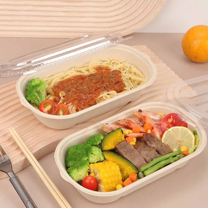 Sugarcane Cellulose Pulp Food Packaging Container Salad Serving Food Containers Disposable Lunch Box for Bakery, Dessert, Salads, Pasta, Cookies, Sandwiches