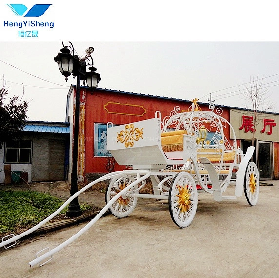 Paseos a Caballo las cuatro ruedas Wagon/Horseless eléctrico/ carro de caballos de lujo