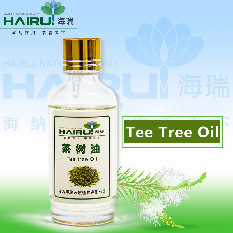 Hot Sale Tea Tree Oil Natural Organic Plant Oil Supply