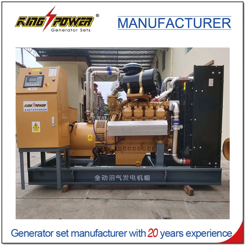 10-1000kw Container Type Open Type Continuous Running Biogas Biomass LPG Generator