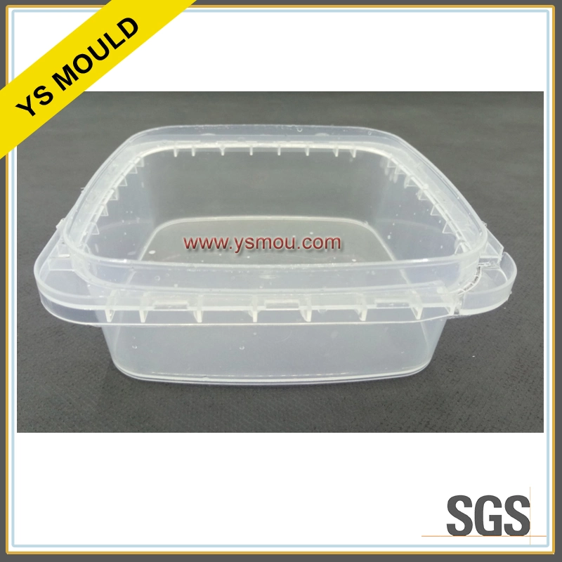 Customized Food Packing 2 Cavities Plastic Food Preservation Box Cap Mould with Lid Mold