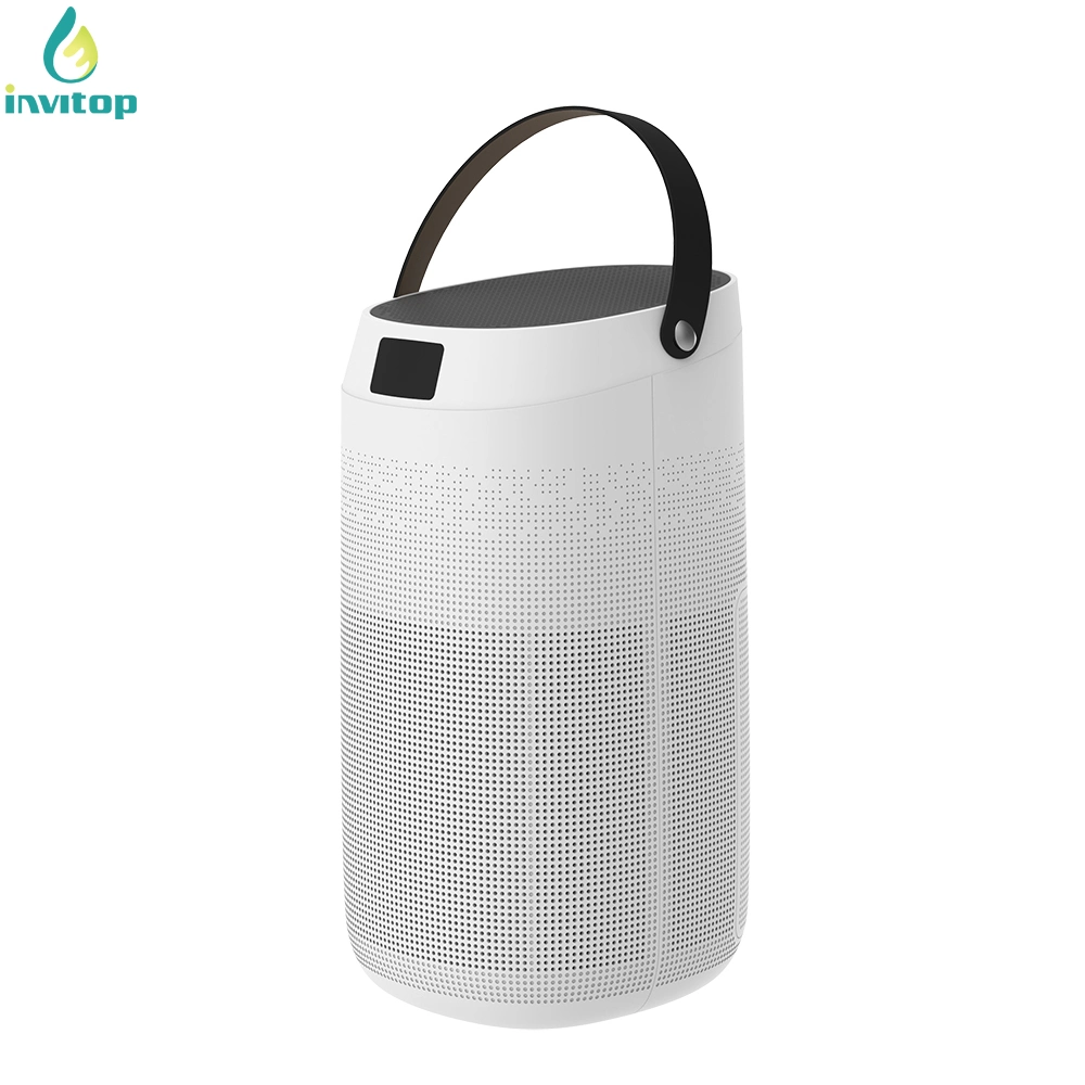 Long Time Standby Household Ozone Air Purifier with 2/4/8h Timer