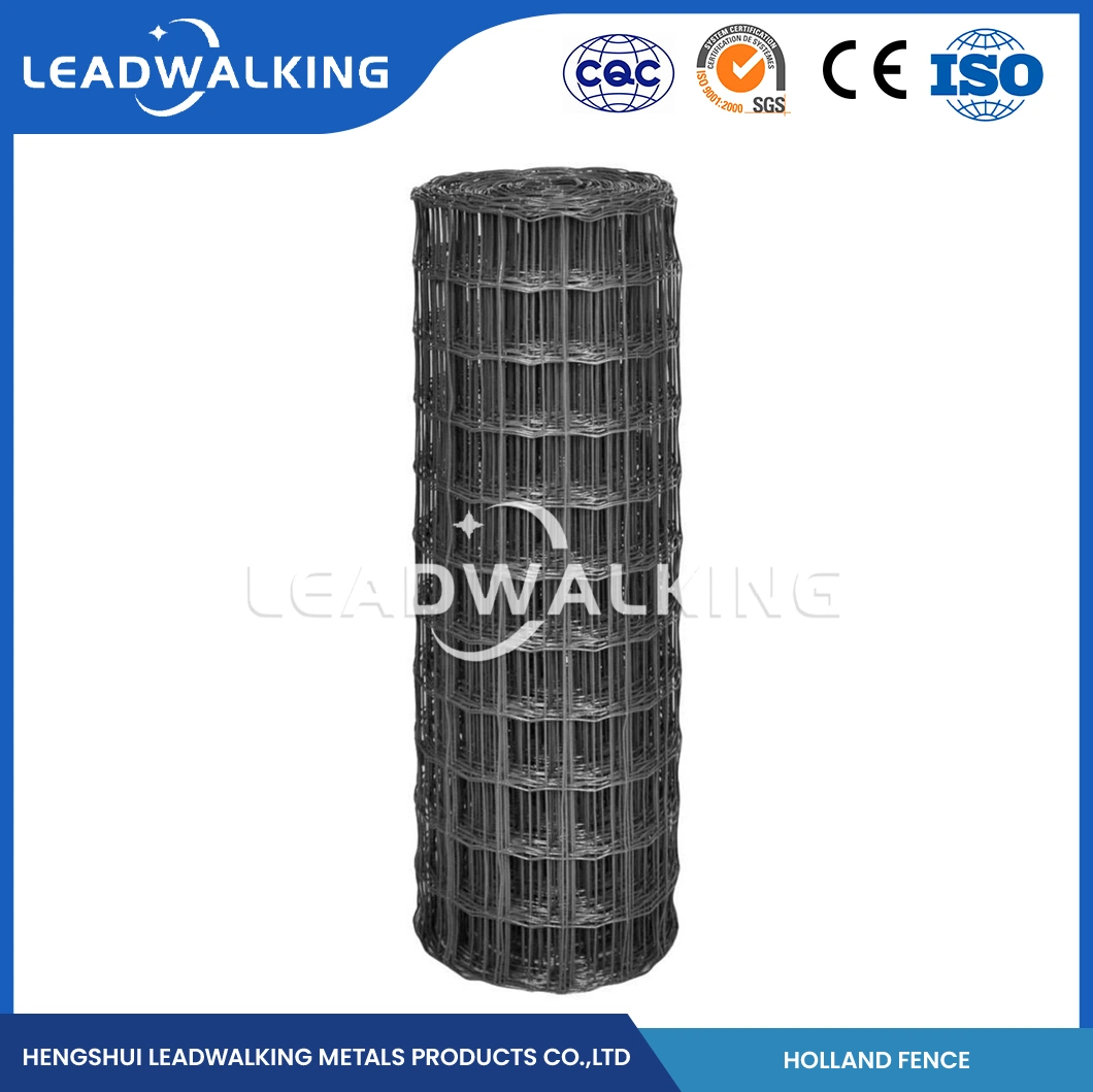 Leadwalking Best Price Euro Fence Suppliers OEM Custom Holland Galvanized Wire Mesh Fence China 5-25m Length Holland Expanded Metal Mesh