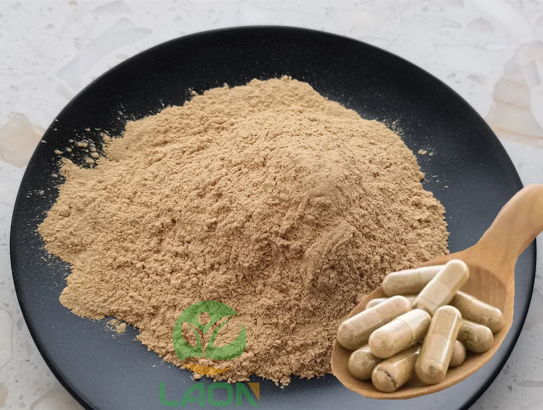 Silymarin 80% UV HPLC Silybin Milk Thistle Extract