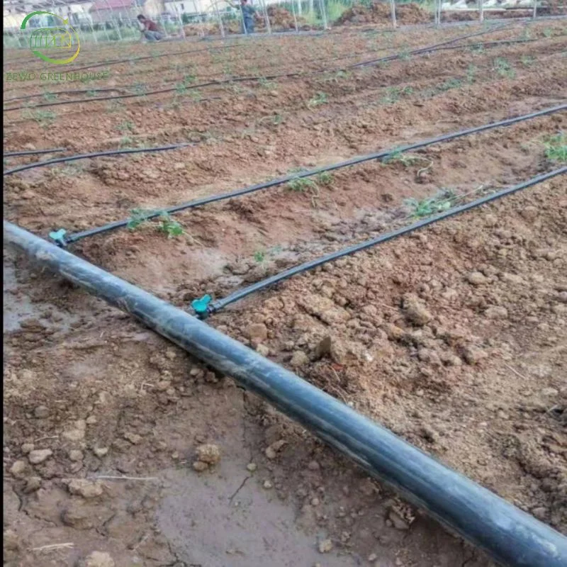 High quality/High cost performance  Automatic Drip Irrigation System for Greenhouse