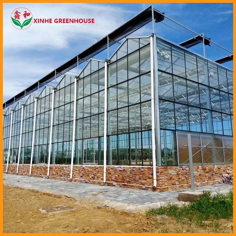 Hot Sale Glass Greenhouse Planting Tomato Hydroponic Grow Systems