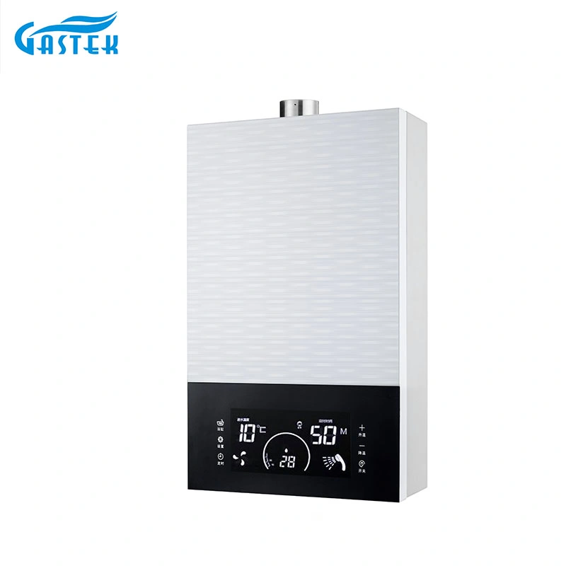 درجة حرارة ثابتة للجهاز المنزلي China Home Appliance 10L 12L 16L 18L HOT البيع من النوع الموي على الجدار تانكو دون غاز البترول المسال الفوري من نوع الساخن الطبيعي سخان مياه الغاز المائي للدش