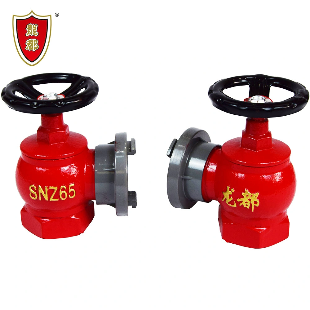 DN65 2.5'' Ductile Iron Rotary Body Indoor Fire Hydrant Valve with Removable Coupling