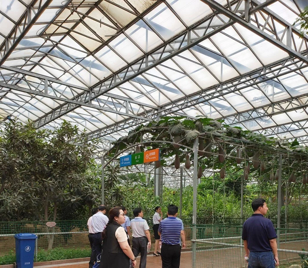 High Efficiency Industrial Glass Greenhouse Shading System for Exhibition Hall/Natatorium