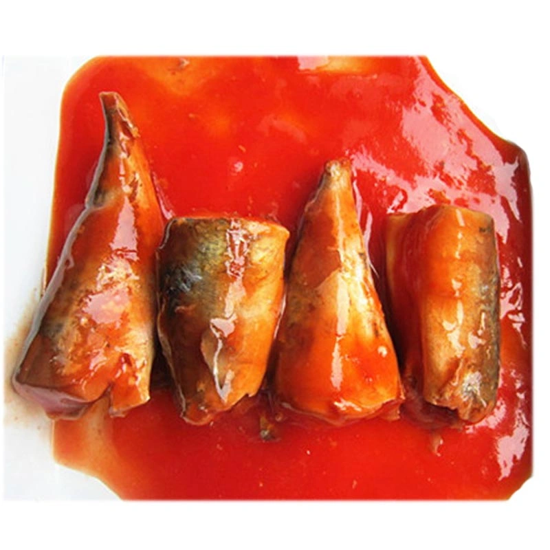 Canned Sardine with Tomato Sauce & in Vegetable Oil