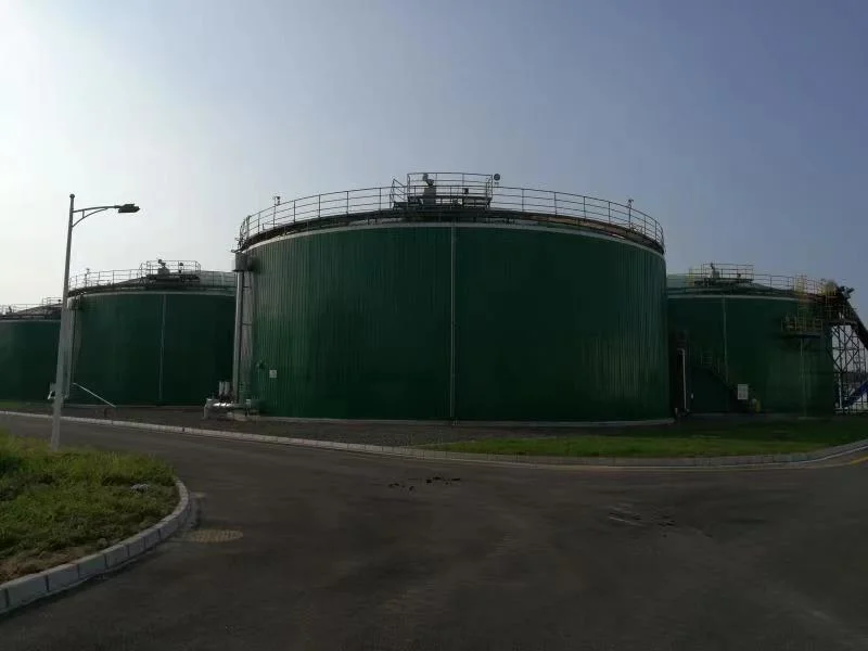 100-3000m3 procesamiento de azúcar aguas residuales circulación interna fermentación de biodigester Tanque