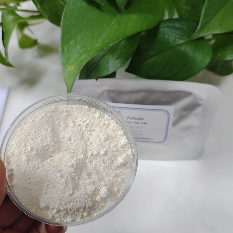 Food and Cosmetic Grade 9057-02-7 99% Pure Bulk Pullulan Powder