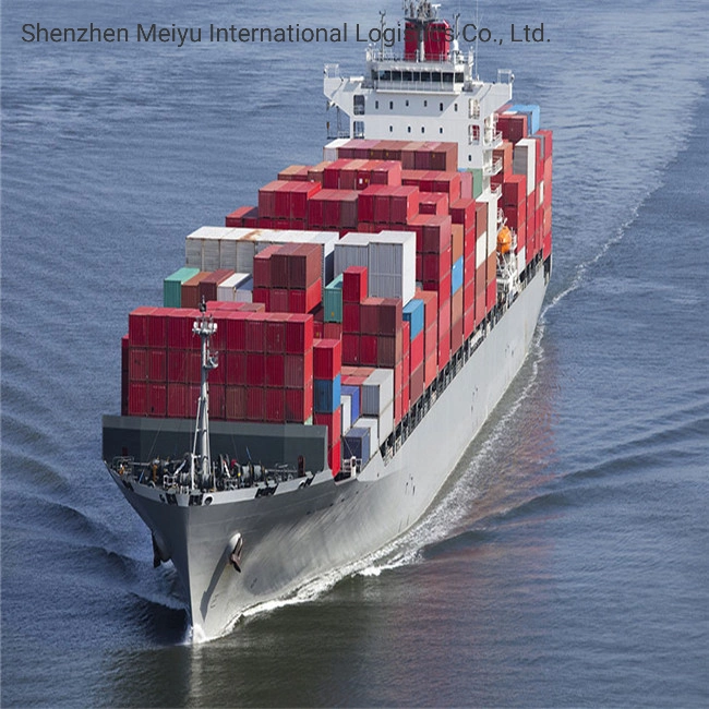 Cheapest Freight Forwarder DDU/DDP Sea Shipping to Italy