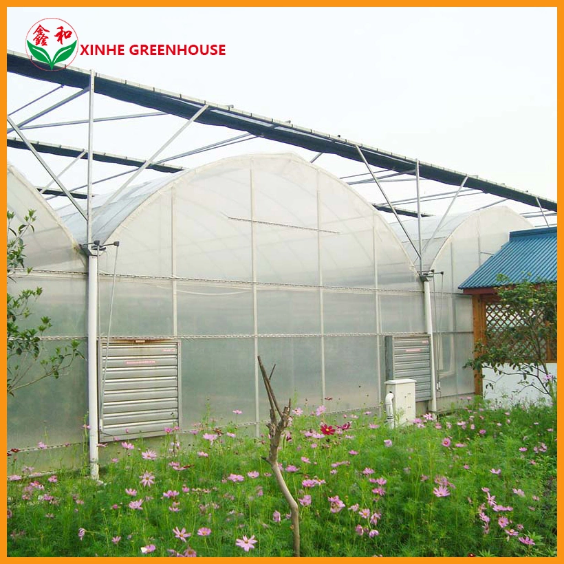 Qingzhou Steel Frame PE Film Greenhouse with Ventilation System