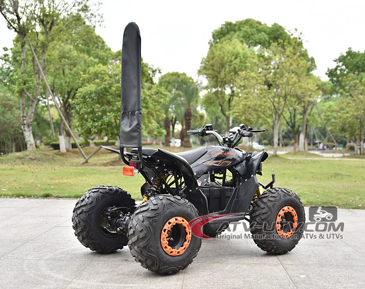 48V 750W Electric Quad ATV Biek con DC Motor sin escobillas con ATV Quad CEE