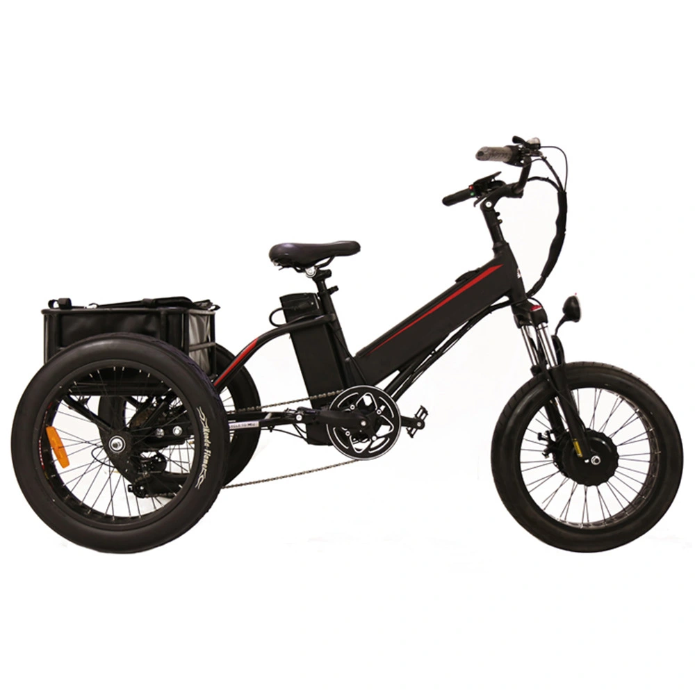 2021 Popualr tracción delantera Tricke Electrictrike motocicleta Eléctrica tres ruedas Trike tres ruedas asistencia electricelica Pick up Trikeoff Road