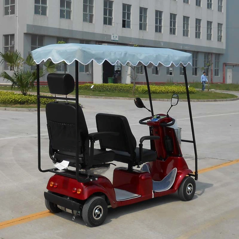 CE Approved Double-Seat Electric-Scooter (DL24800-4)