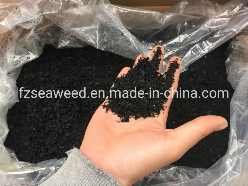 Экспорт сушеных морских водорослей моря Kelp Wakame для производства продуктов питания