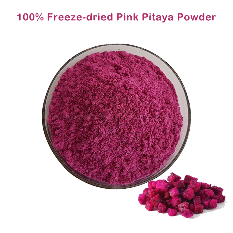 Poudre de fruits de dragon rose lyophilisée poudre de Pitaya rose en vrac