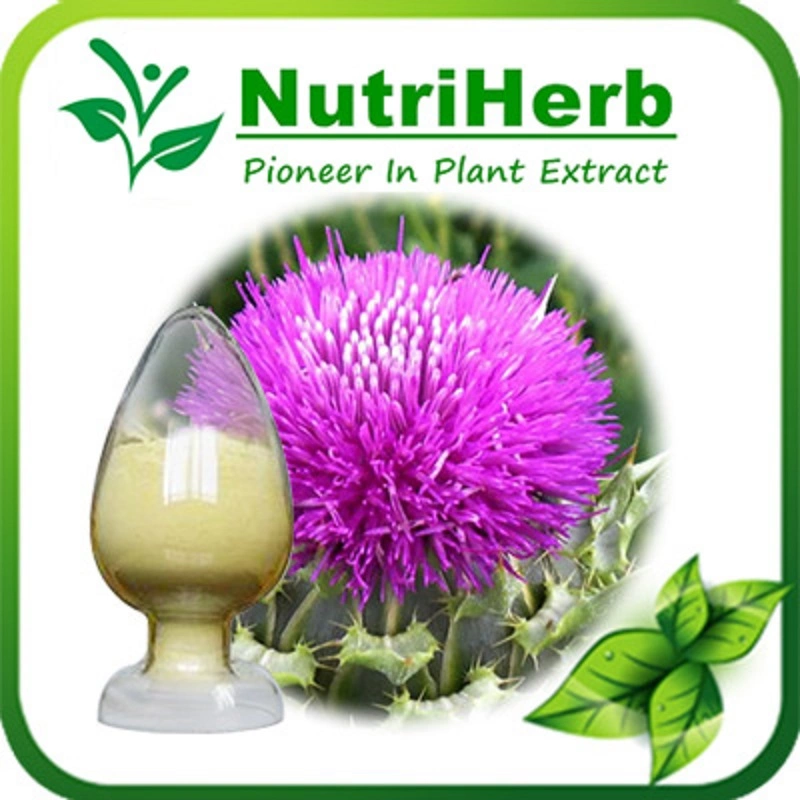 Factory Supply Pure Milk Thistle Extract 80% Silymarin Extract