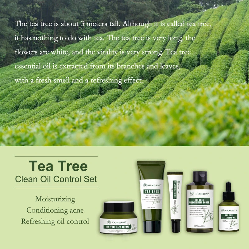 Private Label Best Anti Acne Whitening Product Vegan Herb Skin Care Organic Tea Tree Face Skin Care Set