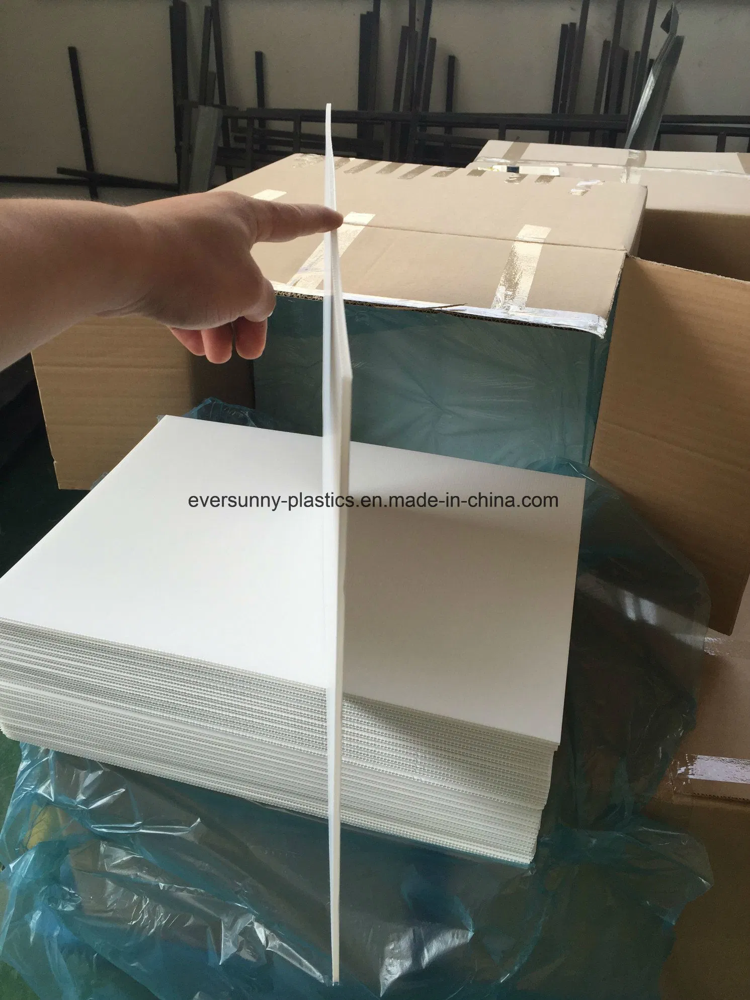 PP Corrugated Sheet/Coroplast Sheet/Correx Sheet for Printing and Packing