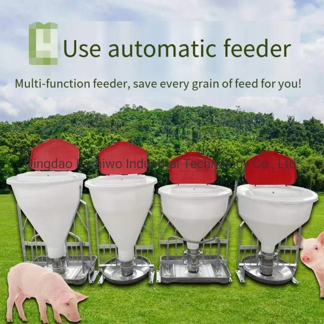 Fabricado na China Pig Equipamento Agrícola Animal de plástico do alimentador húmida e seca Alimentador de suínos a canaleta Automática