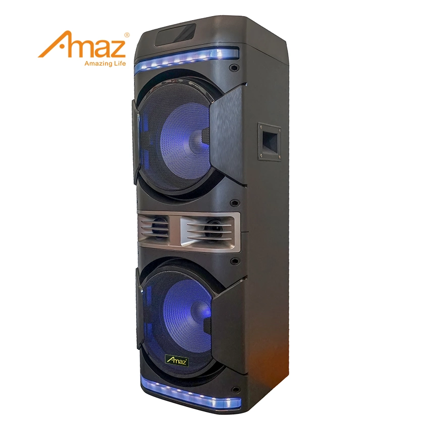 Amaz Original Factory Wholesale/Supplier Customized OEM Double 10 Inch Karaoke Speakers