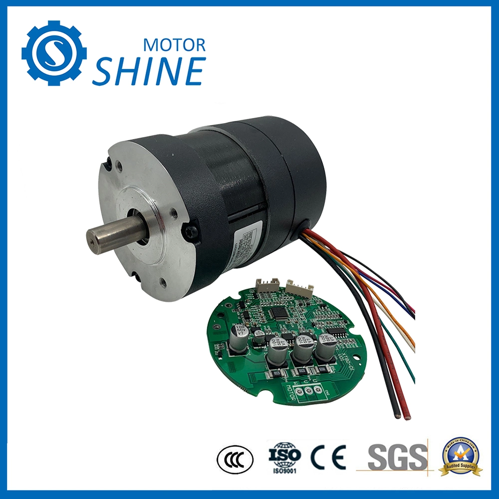 Micro BLDC Worm Gear Electric Car DC Motor for Sliding Gate