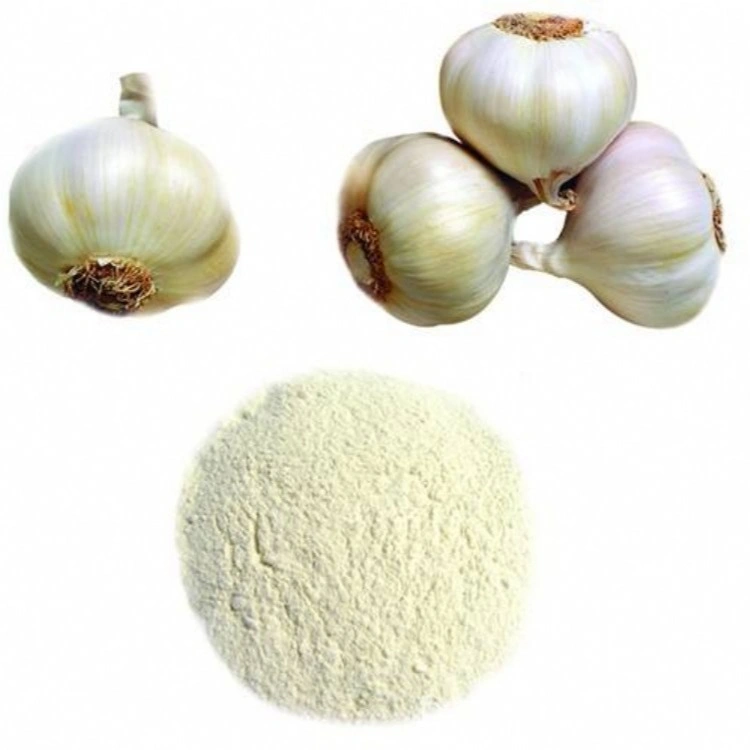China Factory Anti-Inflammatory Allicin Garlic Extract Powder