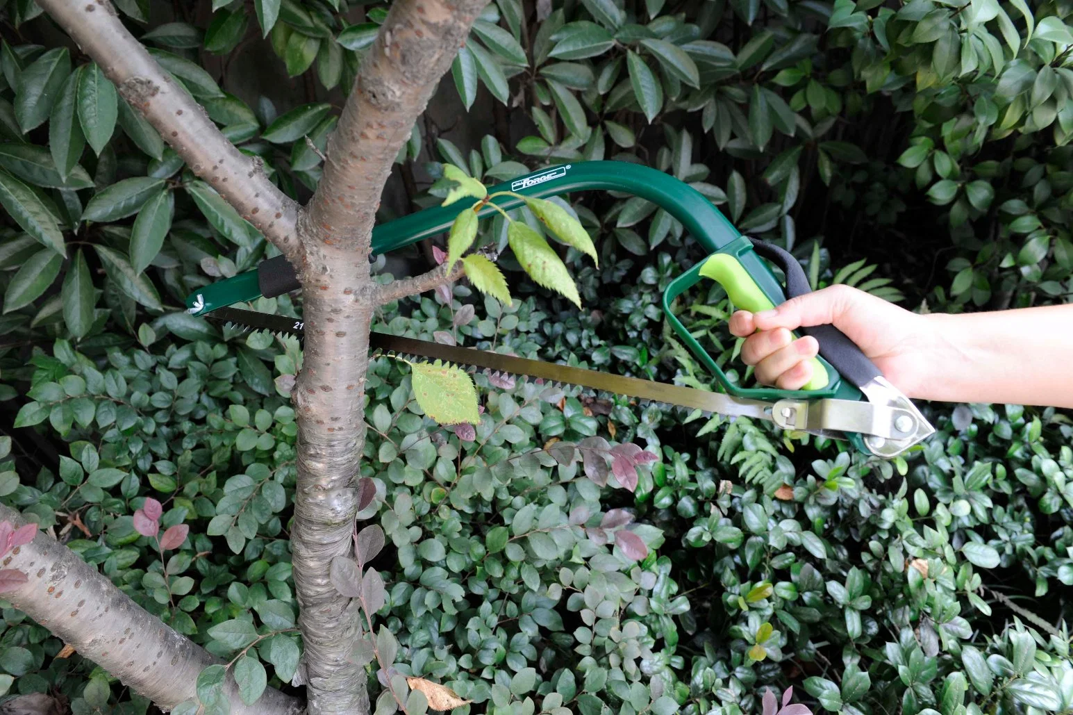 Jardín de 21" de acero de herramientas de corte de poda Bowsaw Sierra Sierra de arco