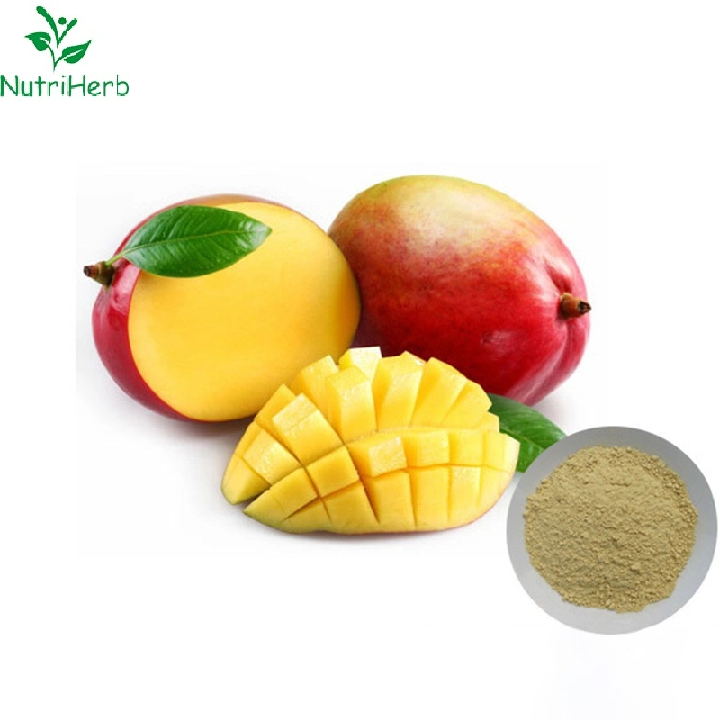 Best Price Mango Leaves Extract CAS 4773-96-0 Mangiferin 98%