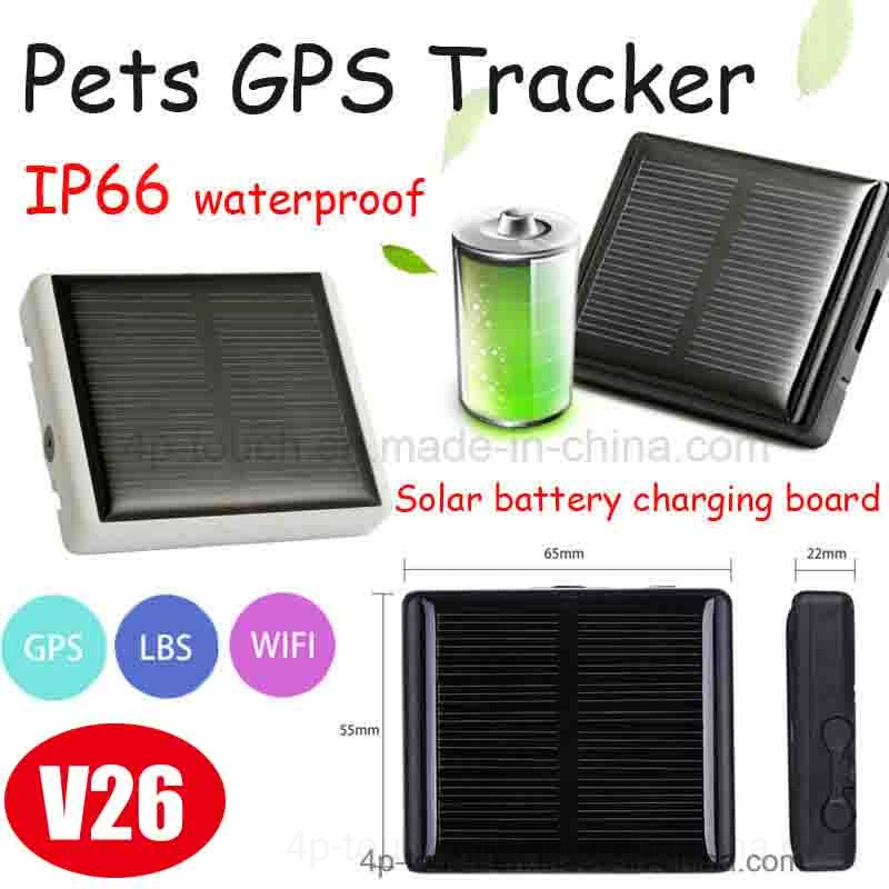 Novo desenvolvido IP67 à prova de 2G GSM a energia solar Rastreador GPS para animais Bovinos Ovinos vaca com o Rastreamento do histórico V26